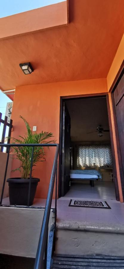 Luhme Tulum Hostel المظهر الخارجي الصورة